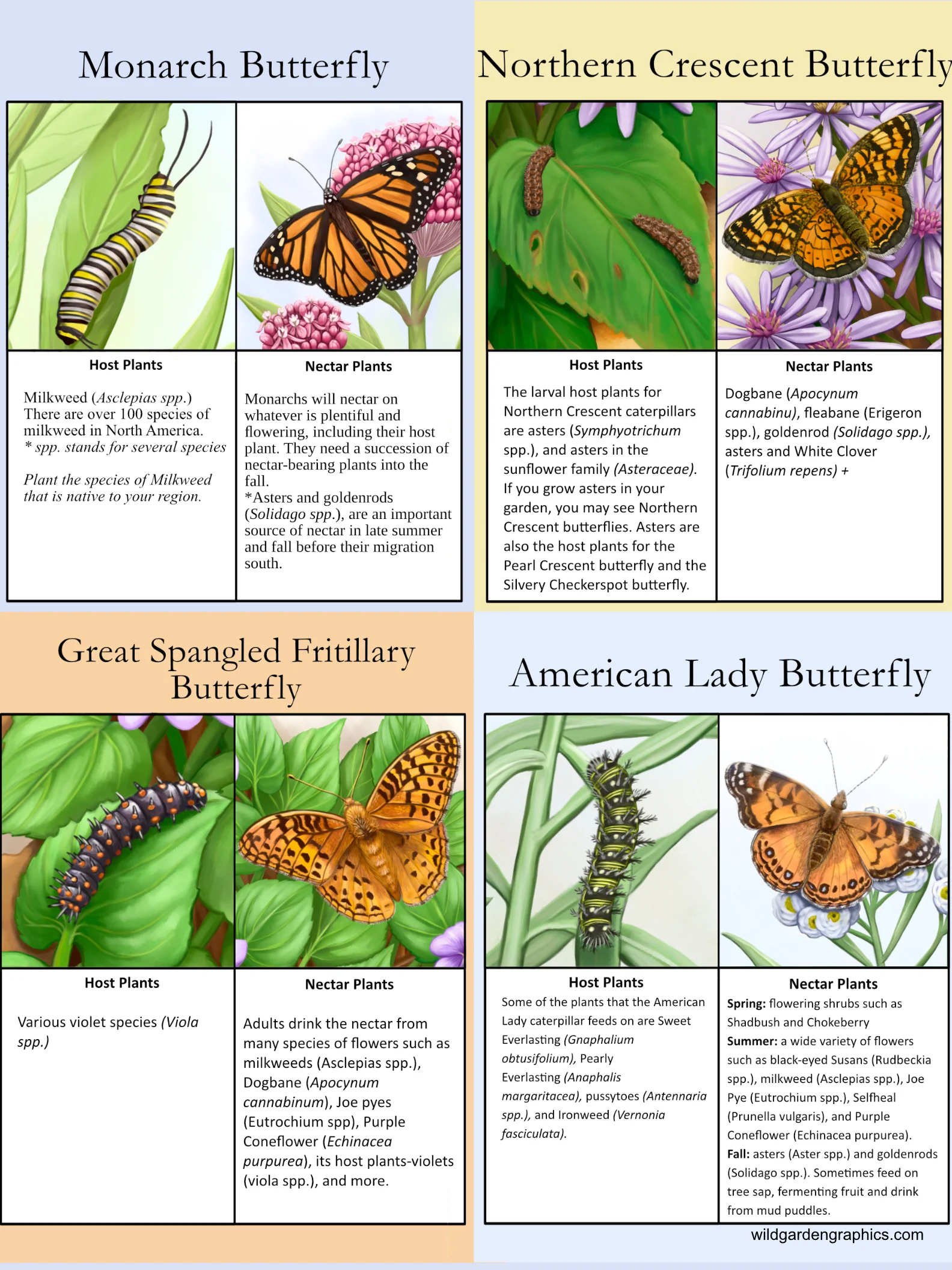 Butterfly Info Pages product image (3)