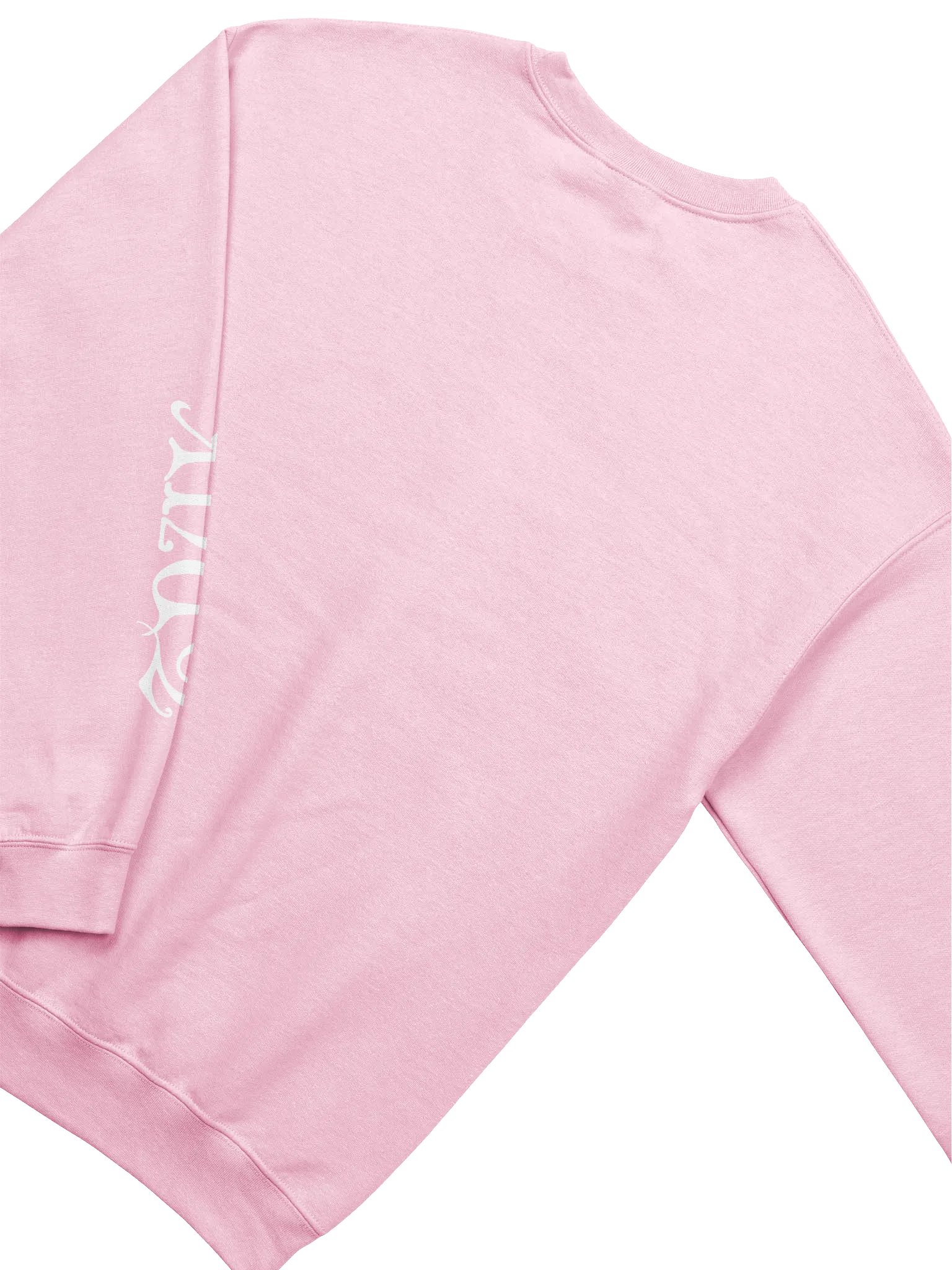 TNUK DIEM - SWEATSHIRT product image (18)