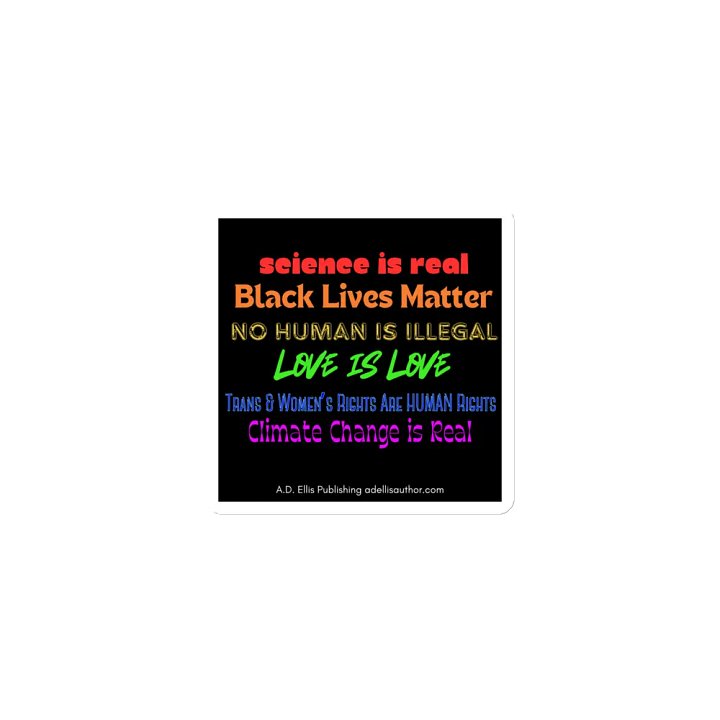 Empowerment Manifesto Magnets product image (1)