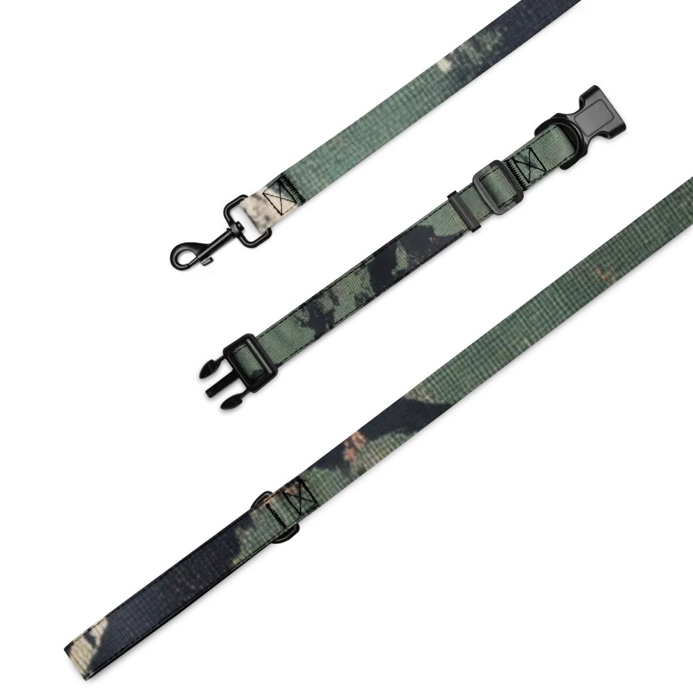 Spectrum Splendor Pet Collar & Leash Set product image (1)