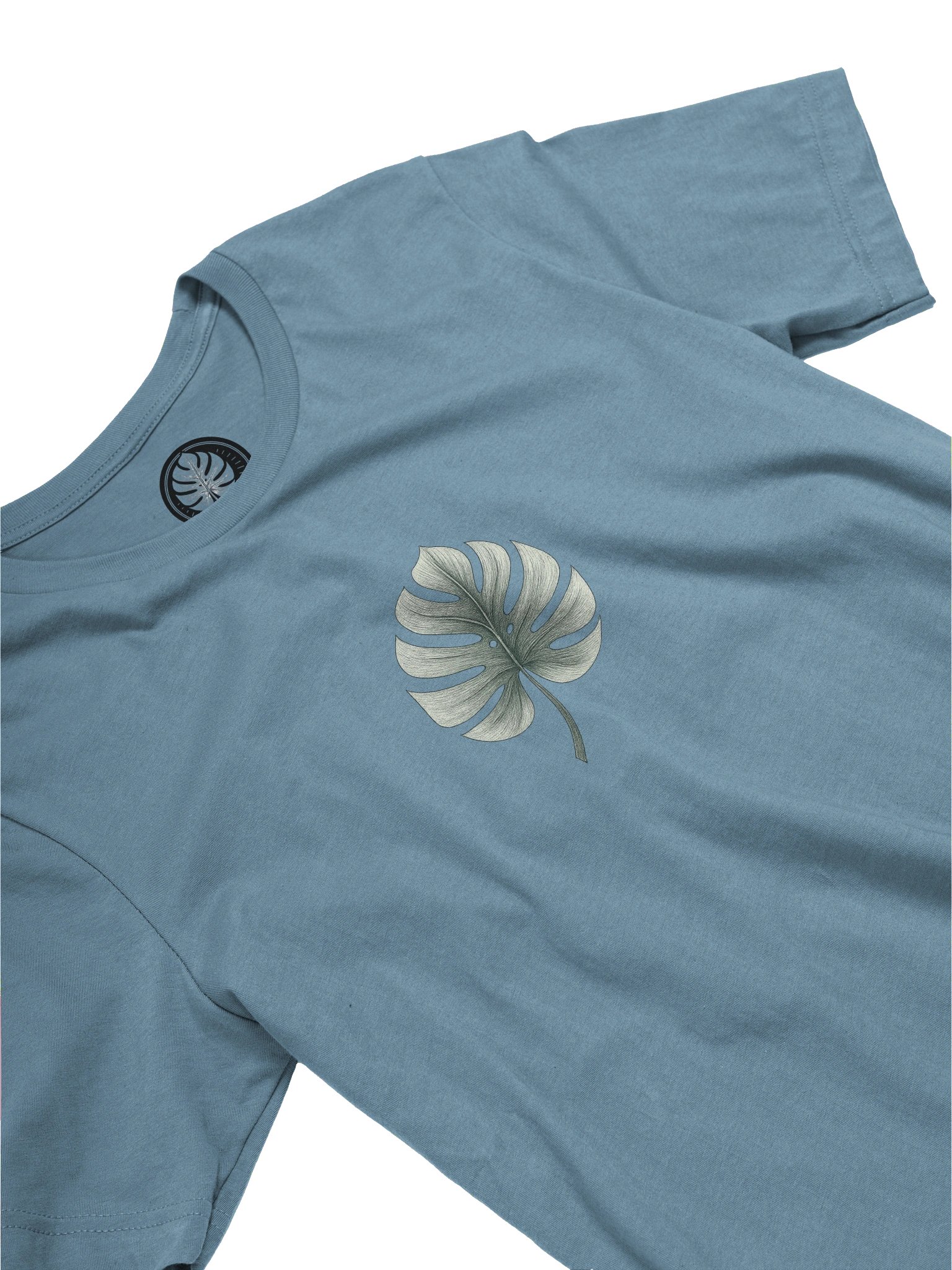 Monstera Stay Curious product image (4)