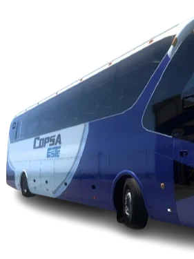 COPSA ESTE 🇺🇾 ETS2 | Terrestre product image (2)