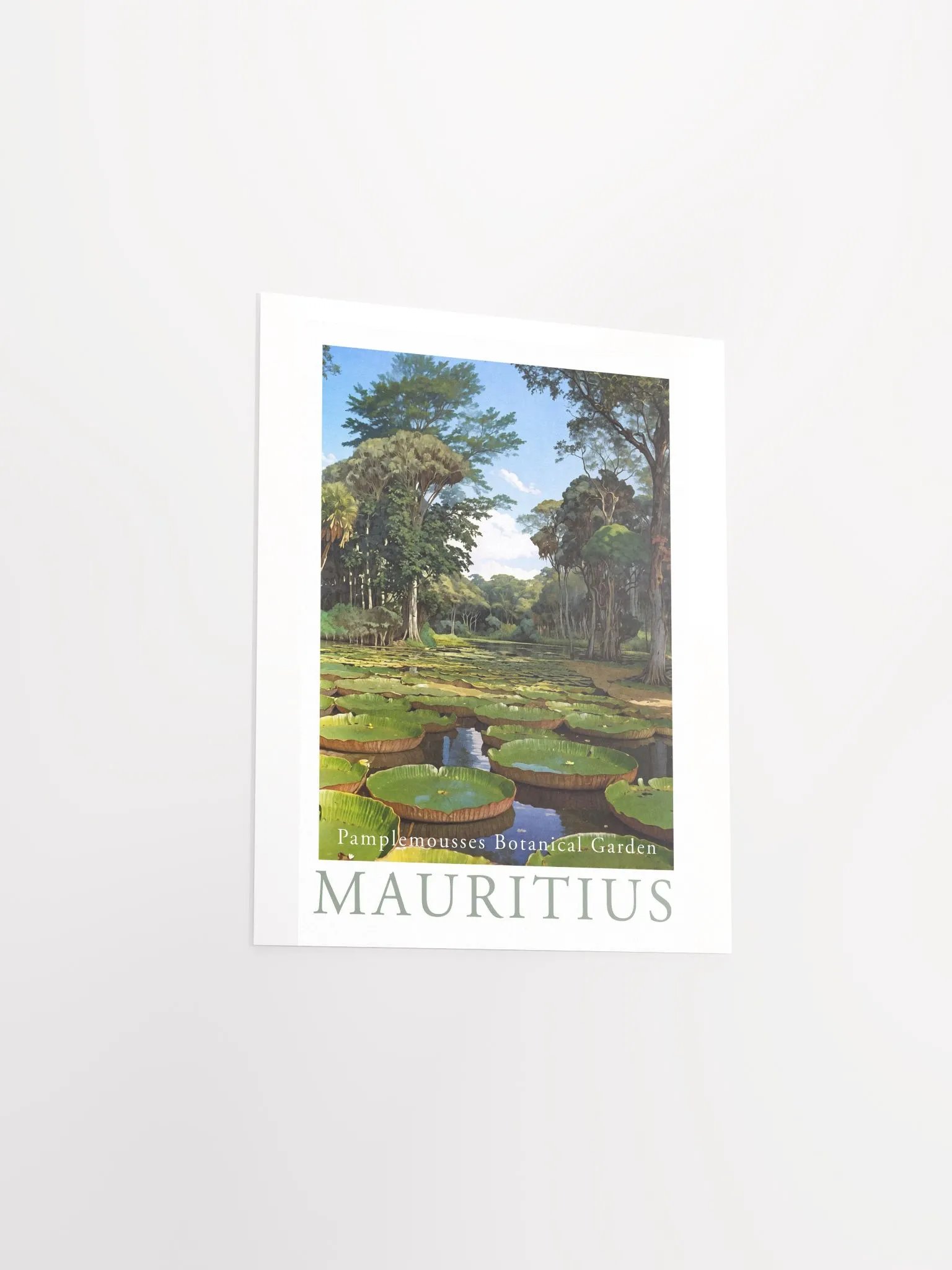 Pamplemousses garden - Mauritius product image (8)
