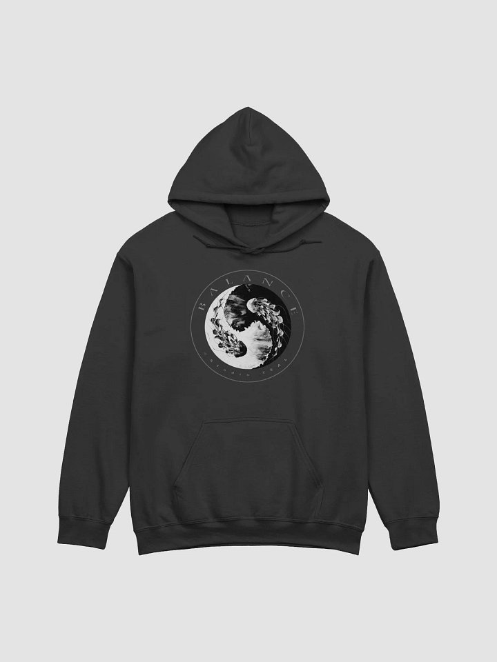 Balance Hoodie product image (1)