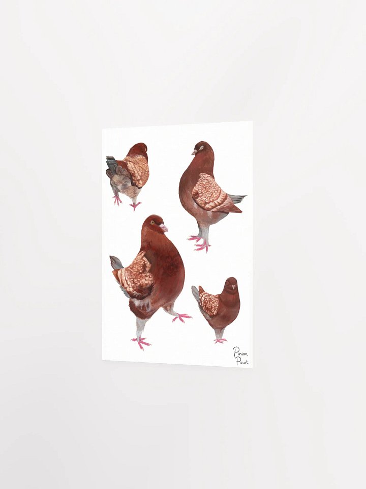 Merlot pigeon print product image (2)