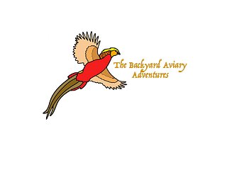 The Backyard Aviary Adventures.