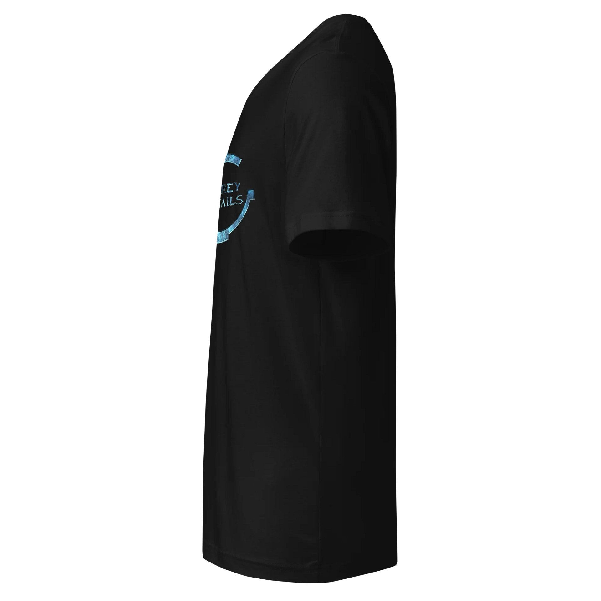 Ring World - Bella+Canvas Short Sleeve V-Neck Jersey T-Shirt product image (6)