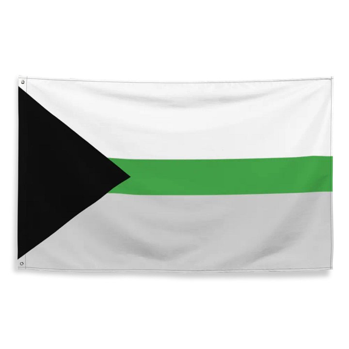 Demiromantic Flag product image (2)