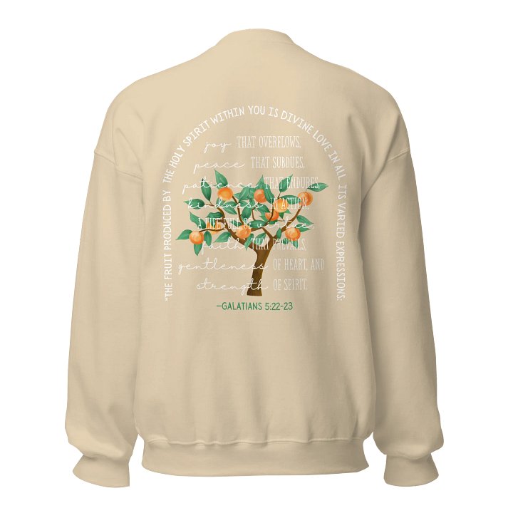 Sweatshirt - Galatians 5:22-23 BEIGE product image (1)