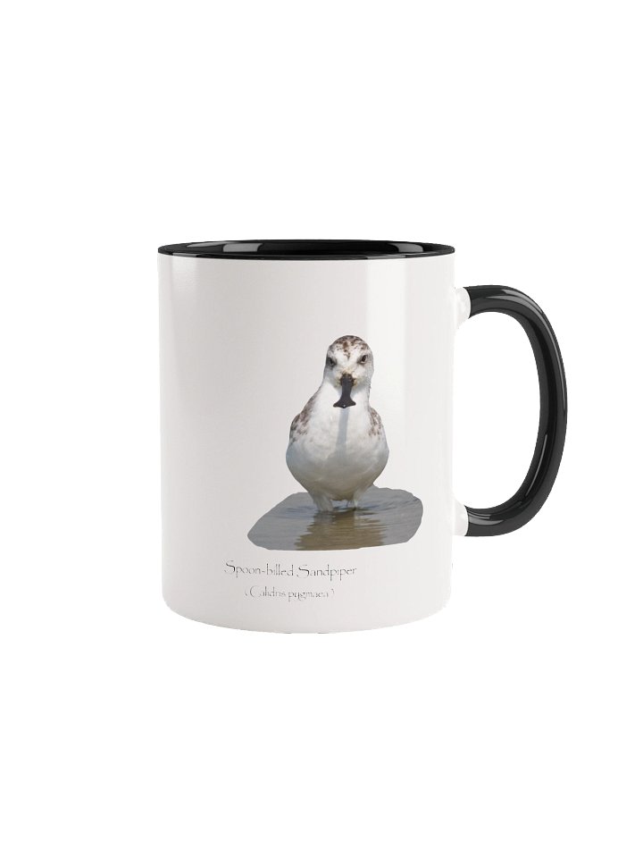Spoon-billed Sandpiper product image (8)