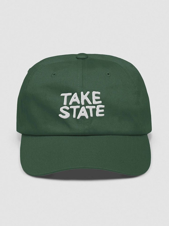 take state _ dad hat product image (1)