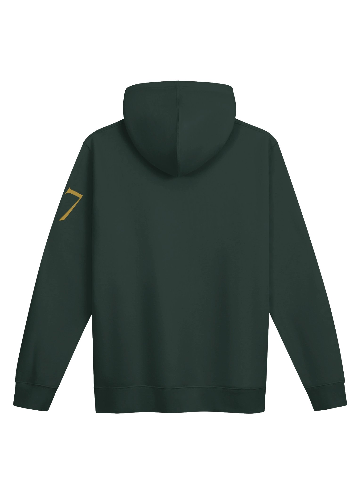 ENFJ Women’s Stencil Hoodie – The Teacher | 77Scenarios product image (4)