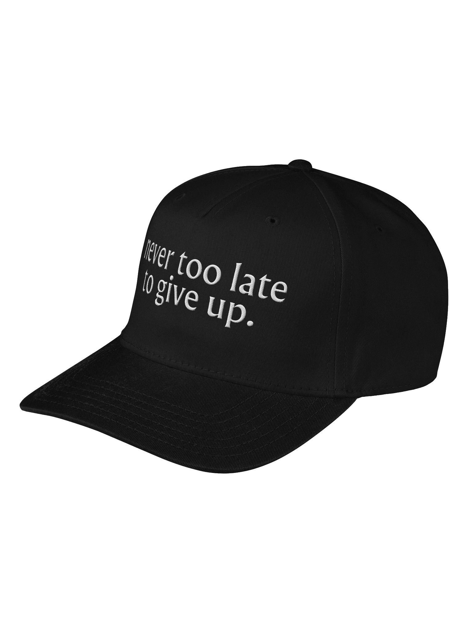 Never Too Late To Give Up product image (3)