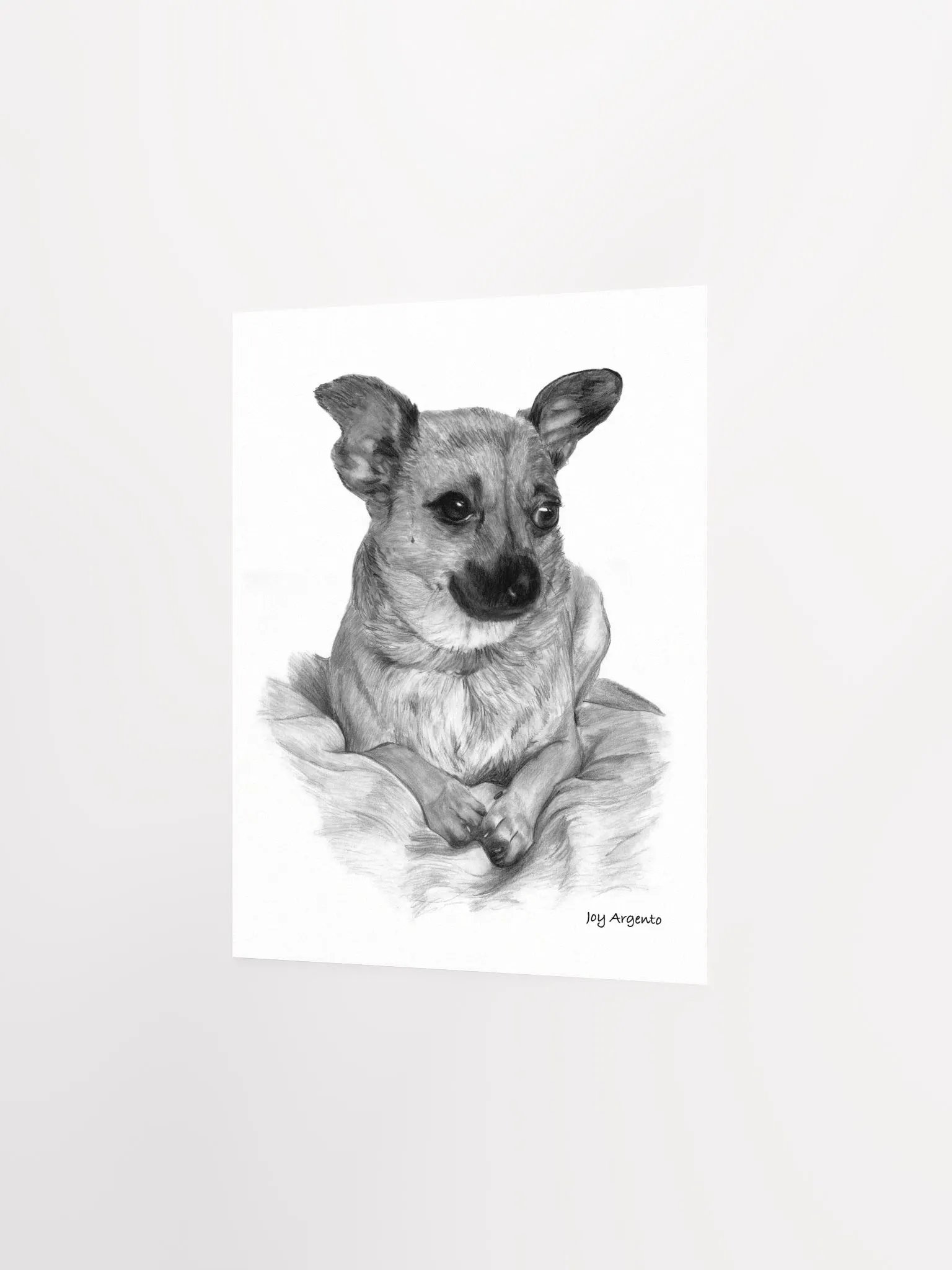 Chihuahua Print product image (7)