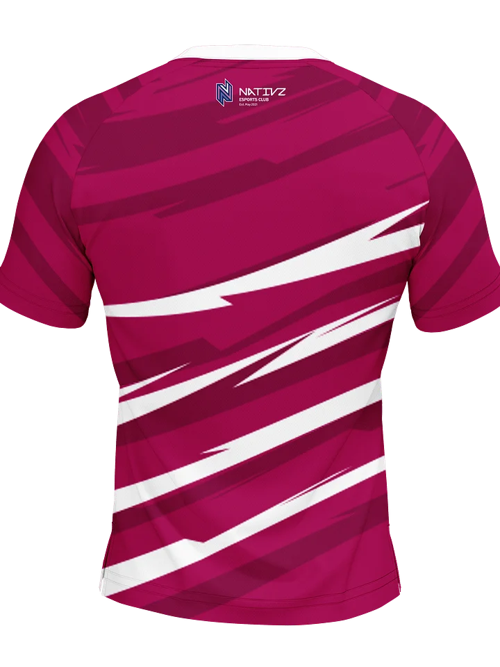 GAL Player Jersey product image (2)