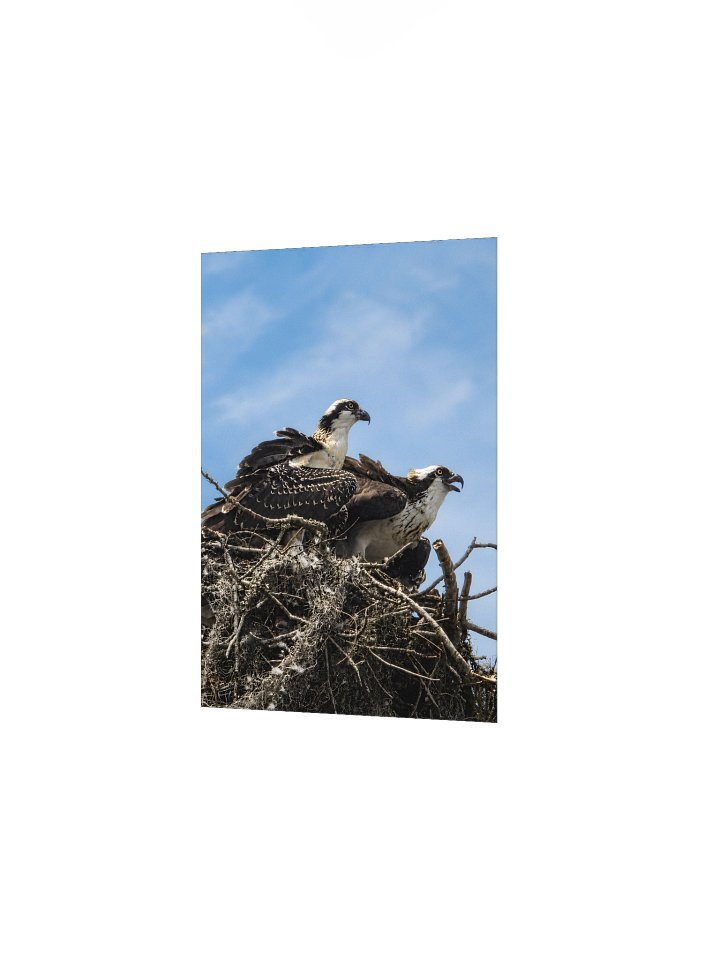 The Osprey Close-Up product image (16)