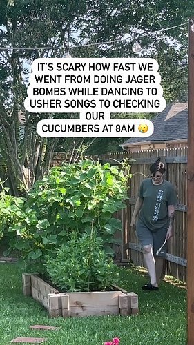 My cucumbers are growing! 
Everything is growing so fast out here in Portugal. I have planted Tomatoes,  peppers, melons, pum...