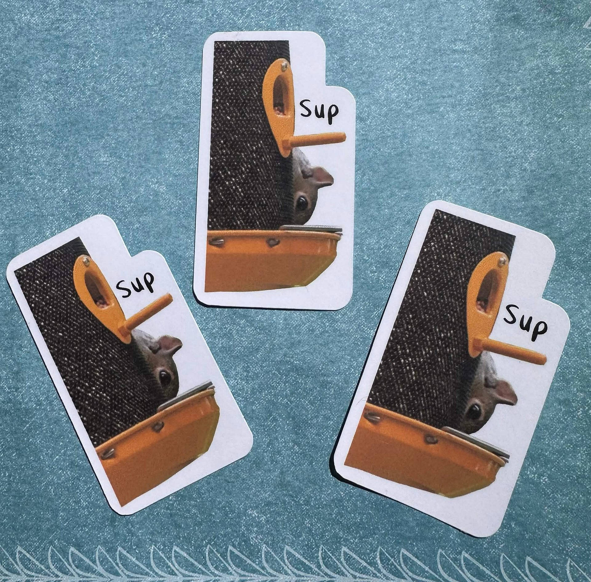 Sup Squirrel Sticker product image (4)