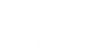 Cinnamon Switch