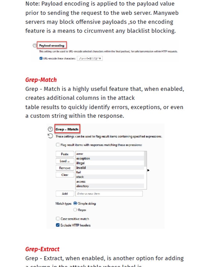 Burp Suite Notes | BSCP notes product image (3)