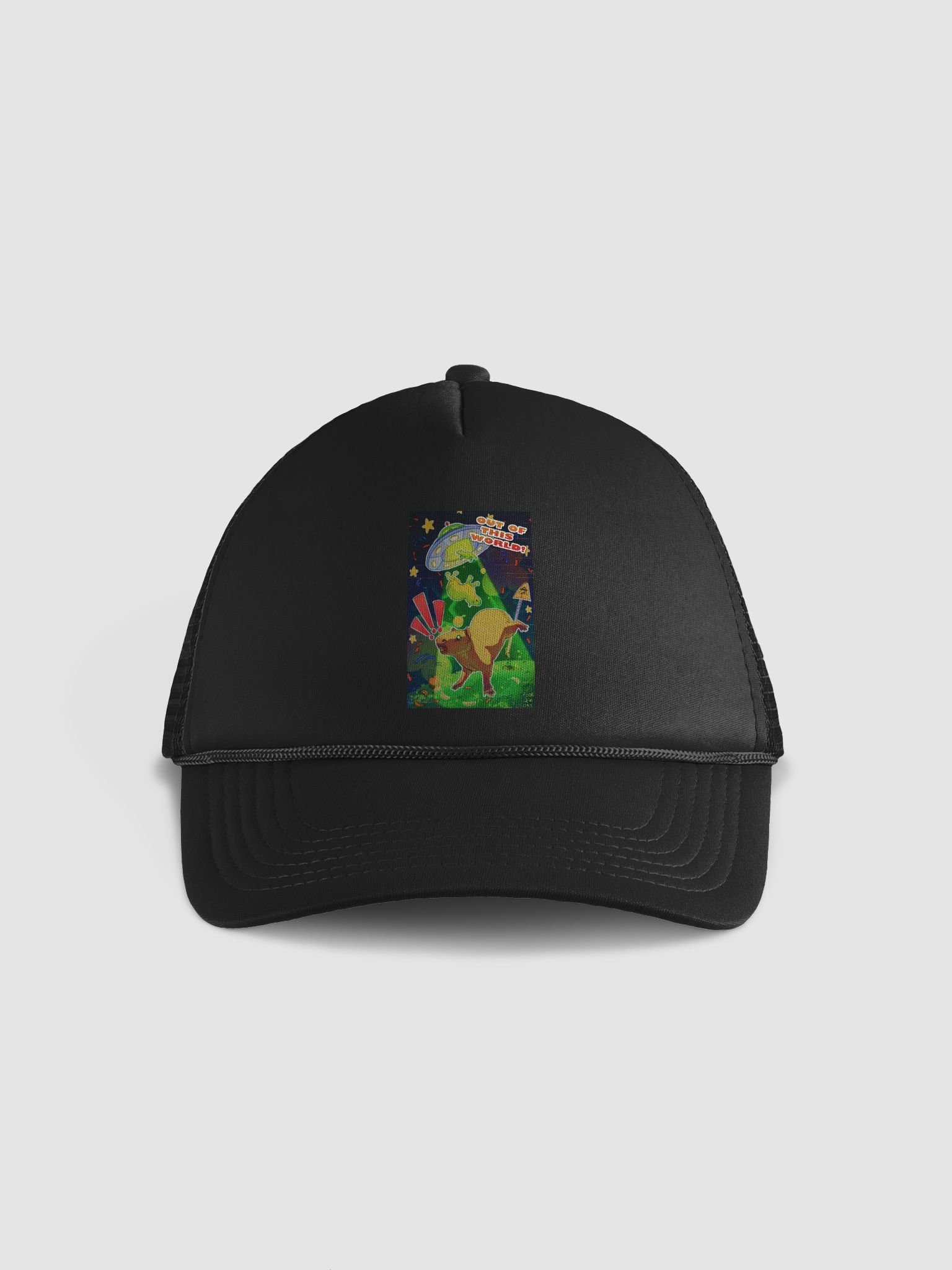 Capybara UFO Abduction Hat product image (1)