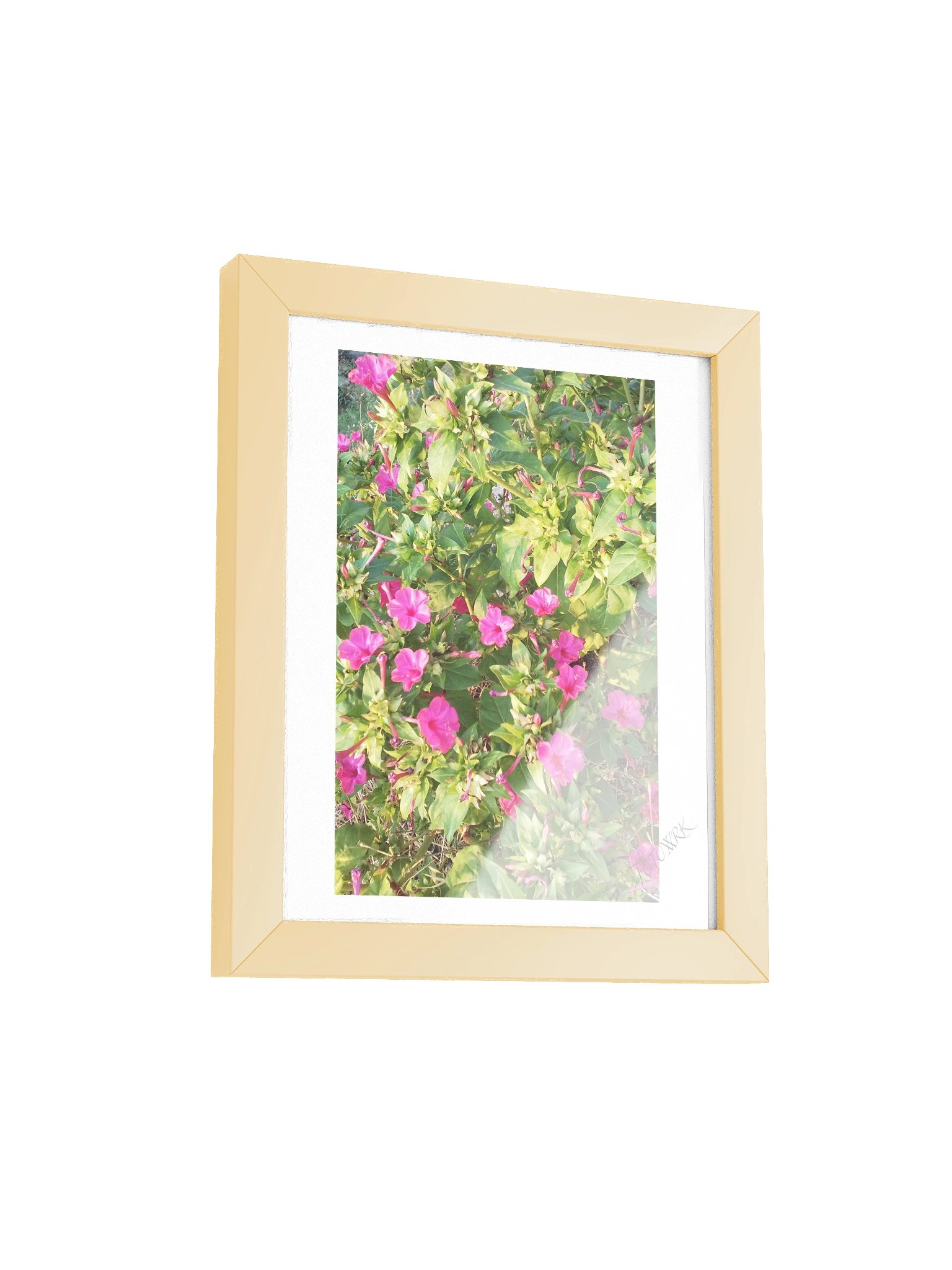 Megi - Fine Art Botanical Matte Poster product image (3)