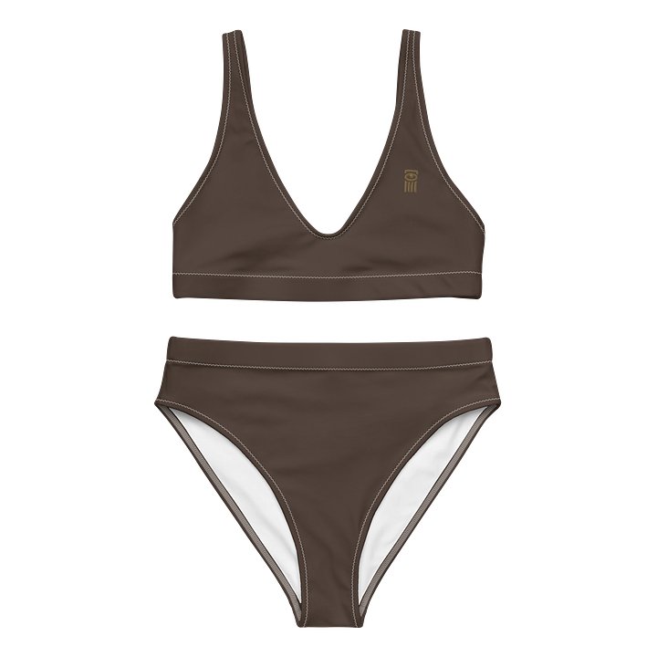 High waisted bikini C43 product image (1)