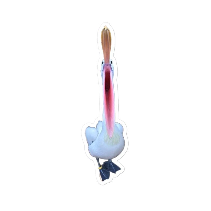 pelican magnet product image (1)