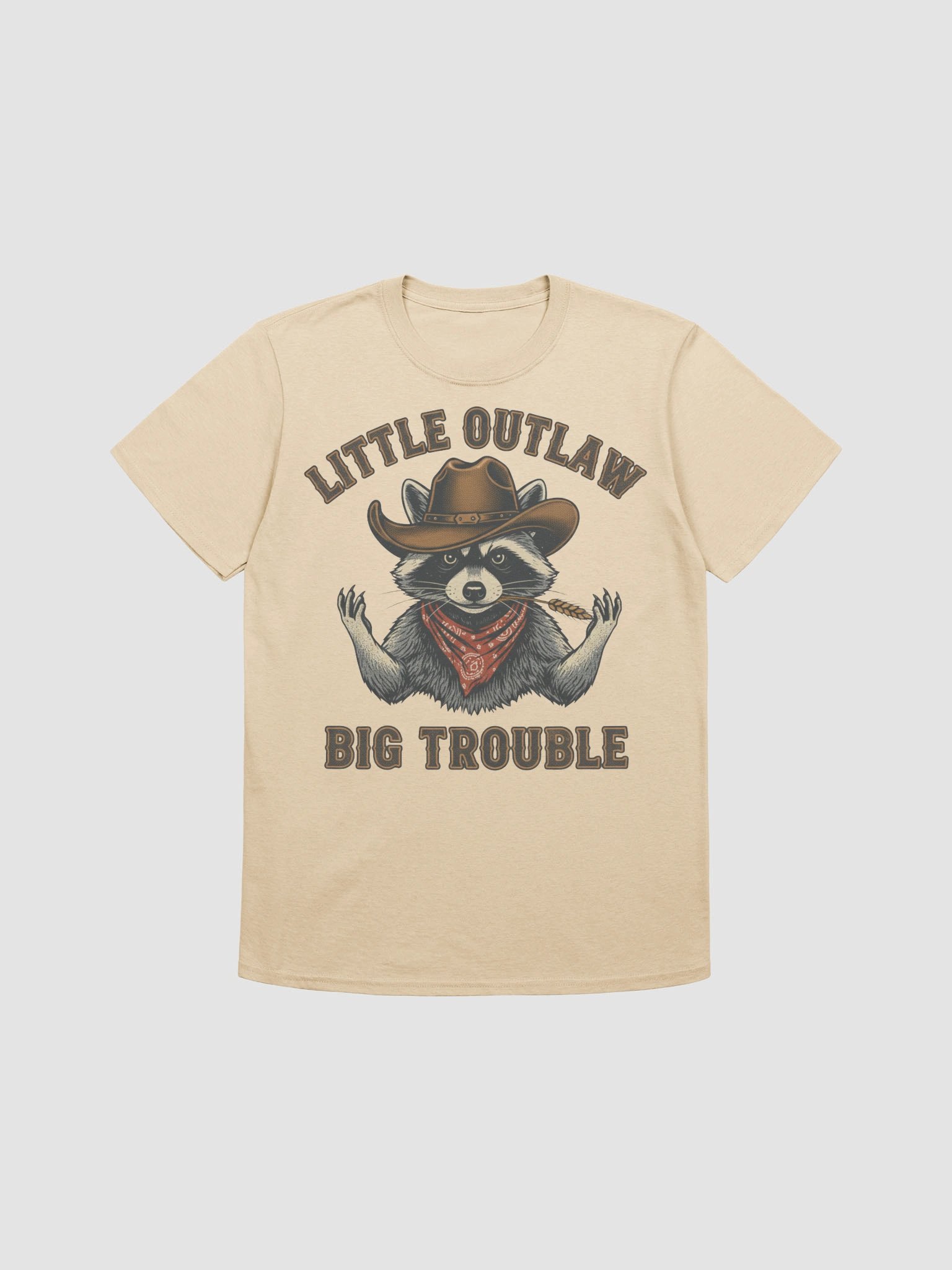 Little Outlaw, Big Trouble product image (2)