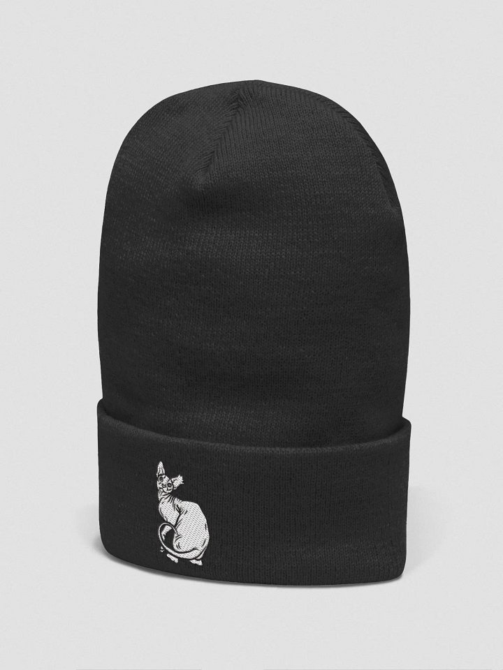 Steffano beanie (Unbranded) product image (13)