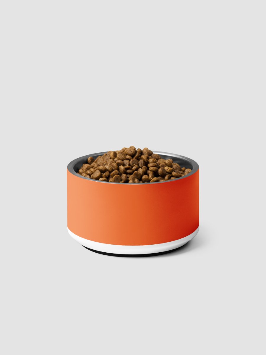 ONE KING Urban Crown Pet Bowl Orange product image (3)
