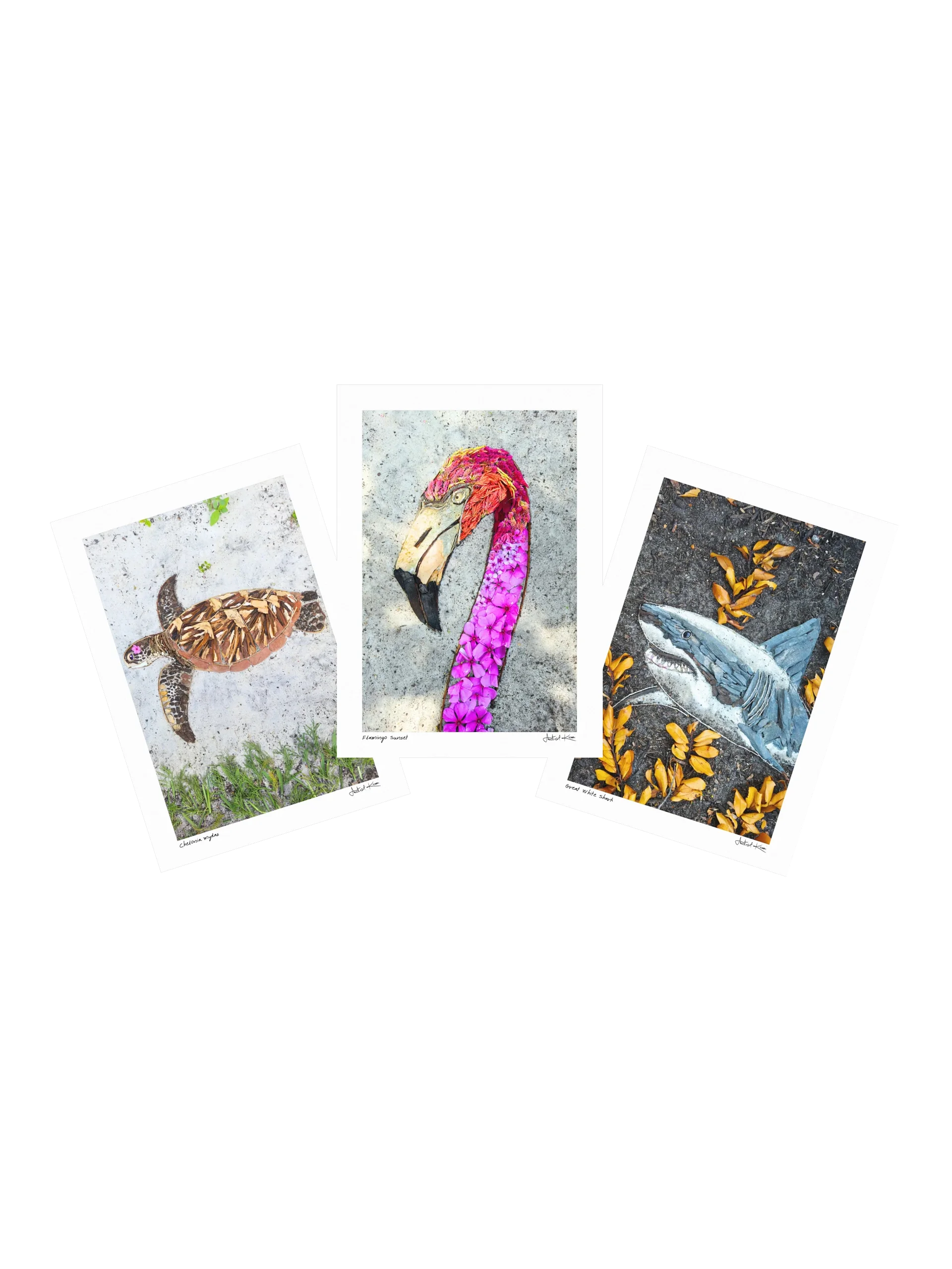 COASTAL VIBES COLLECTION | Small Prints product image (1)