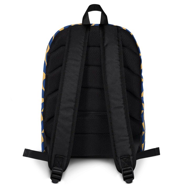 Aries 2025, You Were Warned, Backpack product image (2)