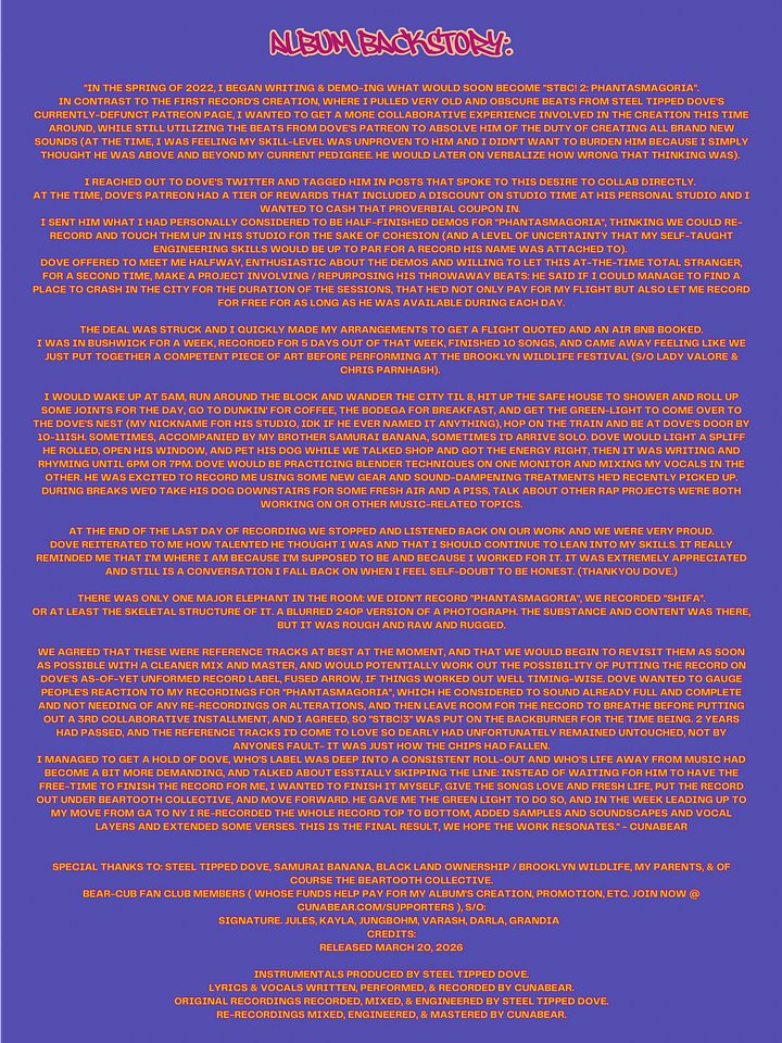 ZINDAGI! - “STBC! 3: SHIFA” Companion Digital Zine: Art, Lyrics, & Photos product image (2)