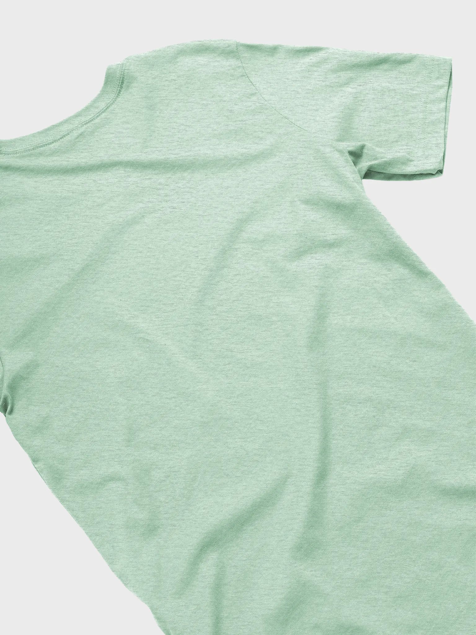 Not Here For Your Approval T-Shirt product image (19)