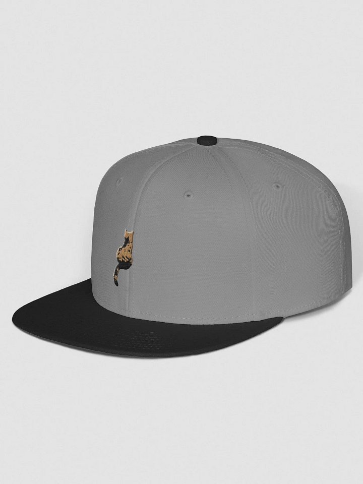Cat Scoliosis Colored Threads Flat Snapback product image (2)