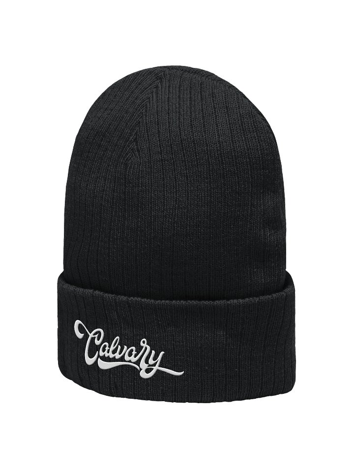 Beanie (Embroidered) product image (2)
