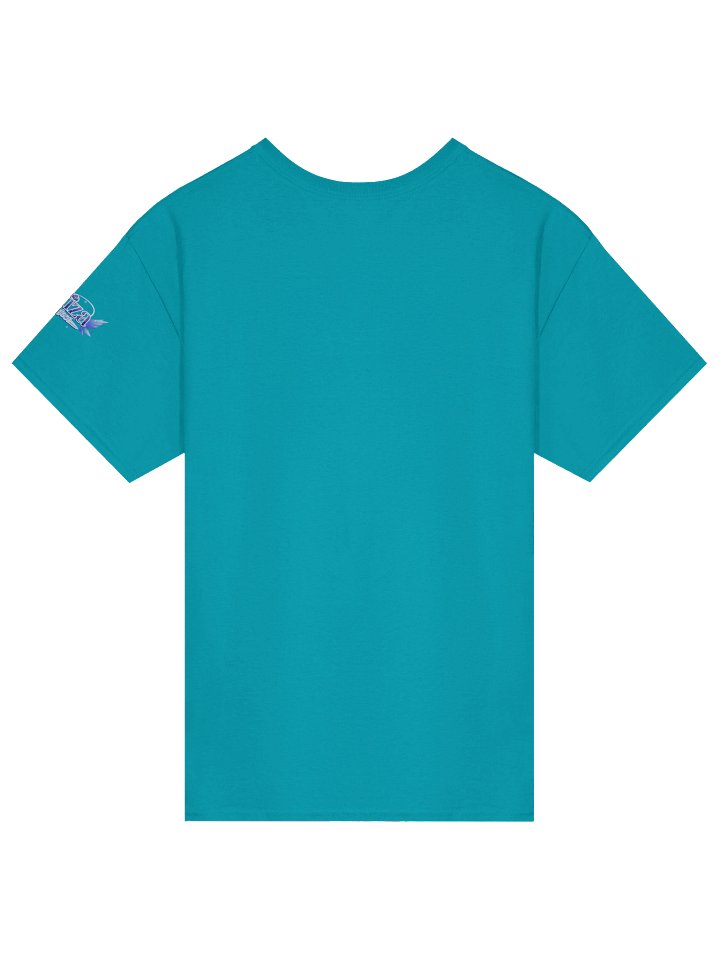 “Spirit of the Silver Moon” T-Shirt product image (13)