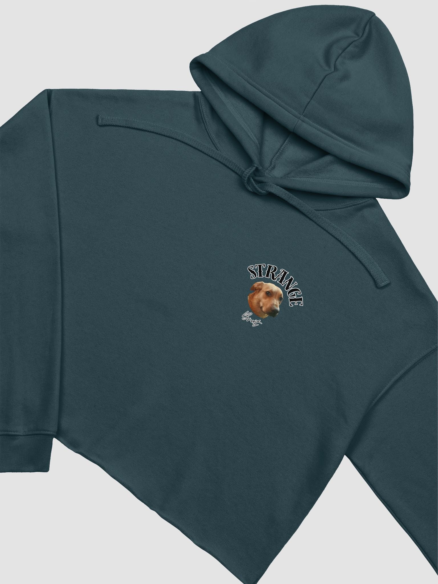 Strange Brat Hooded Crop Top product image (25)
