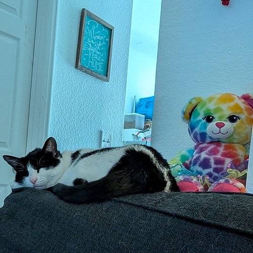 Sunday snoozes are locked in, and Sushi is ready to game! Let's keep the chaos going with #Minecraft and more. See you soon!
...