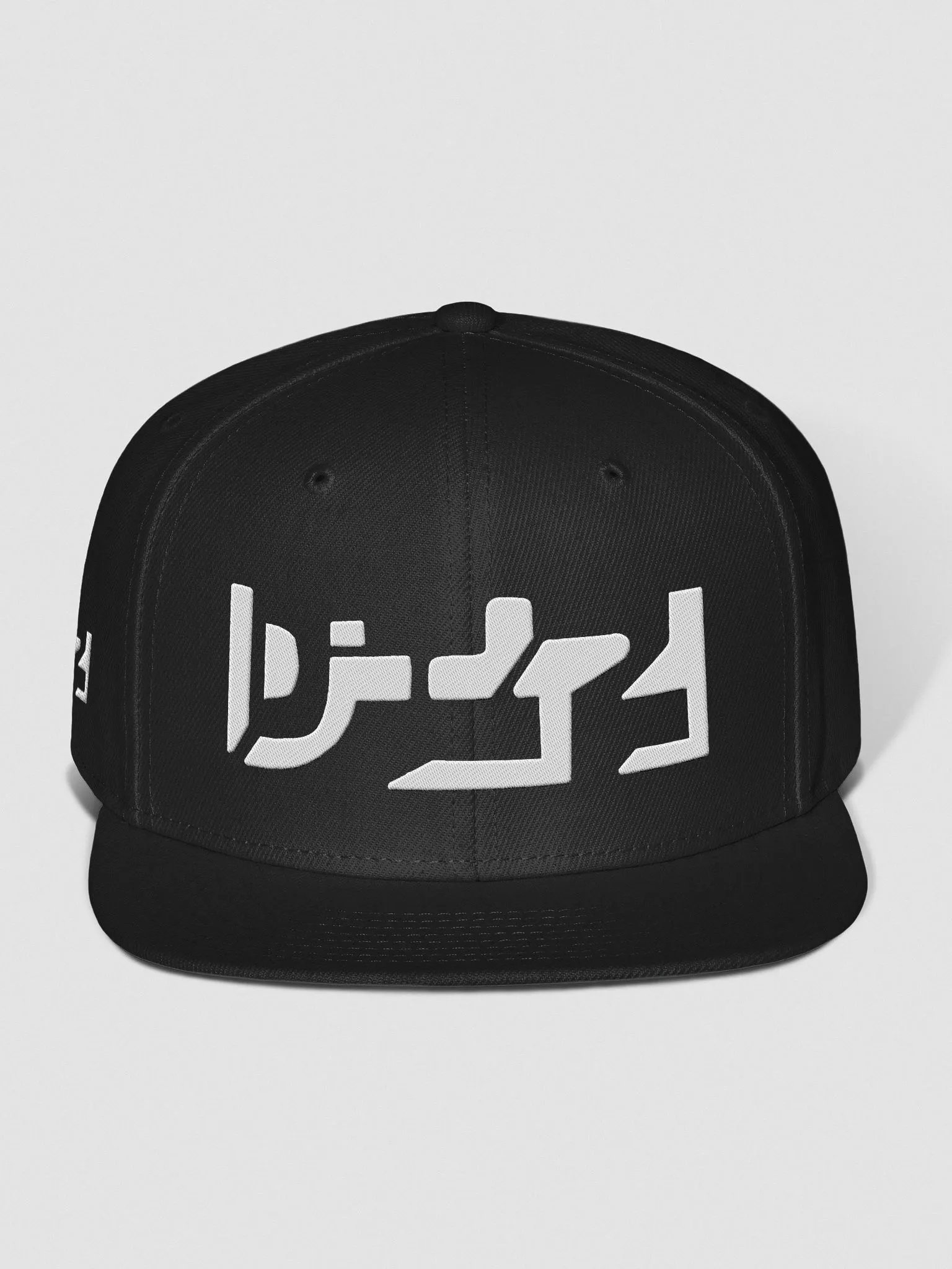 DIZ - Embroided Snapback Cap product image (1)