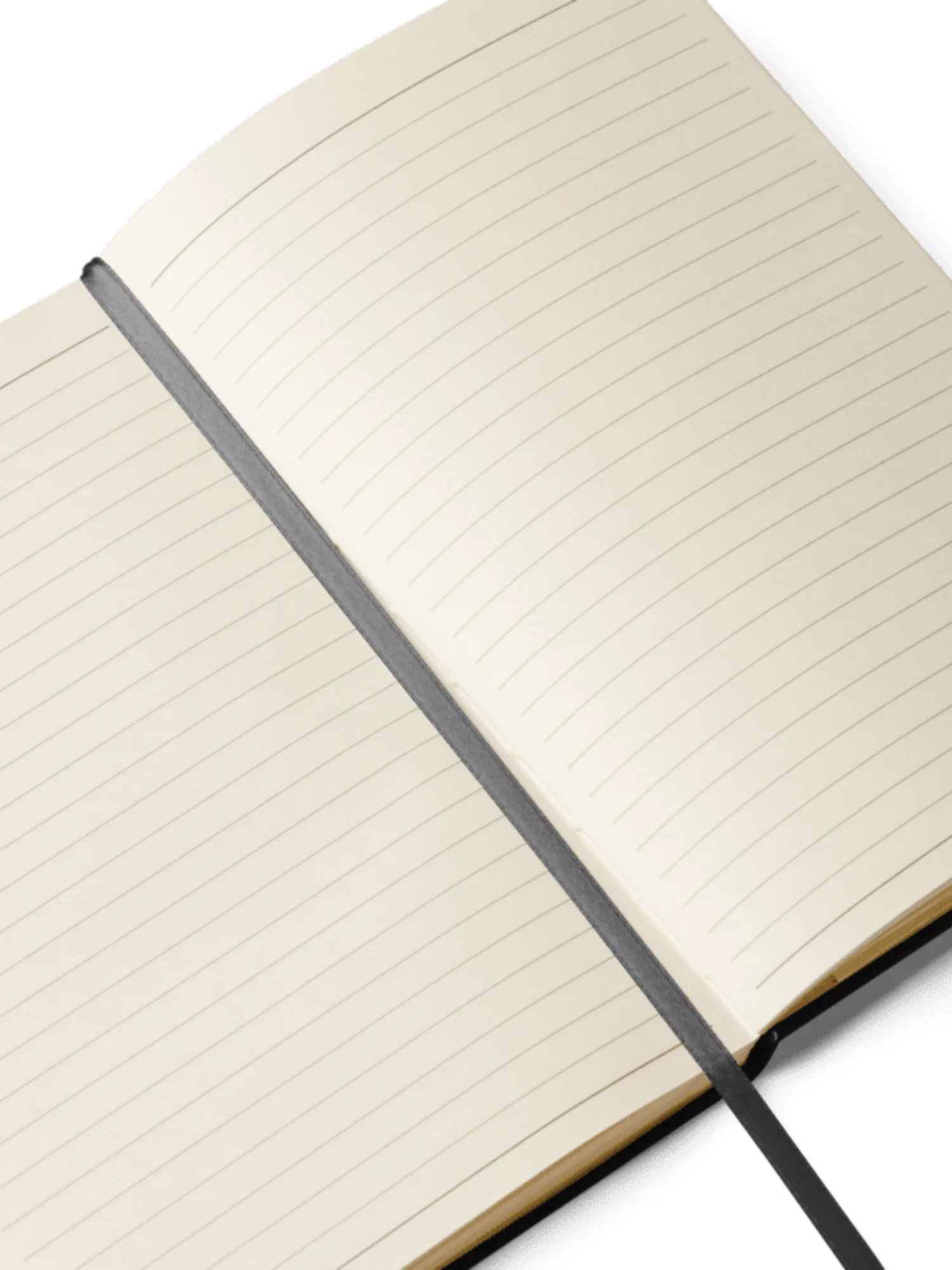 Dragon Fire Journal product image (3)