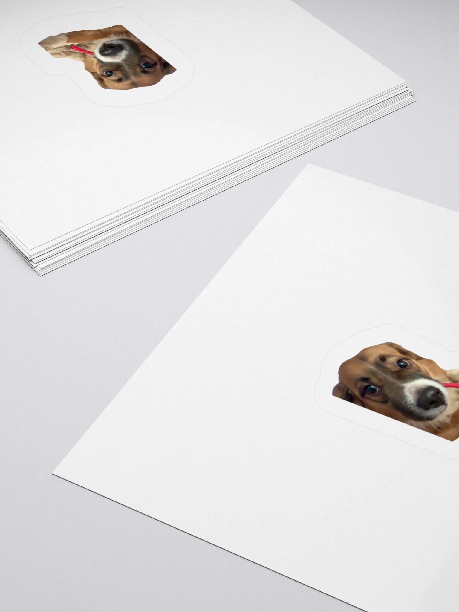 Harry Stickers - Licorice product image (10)