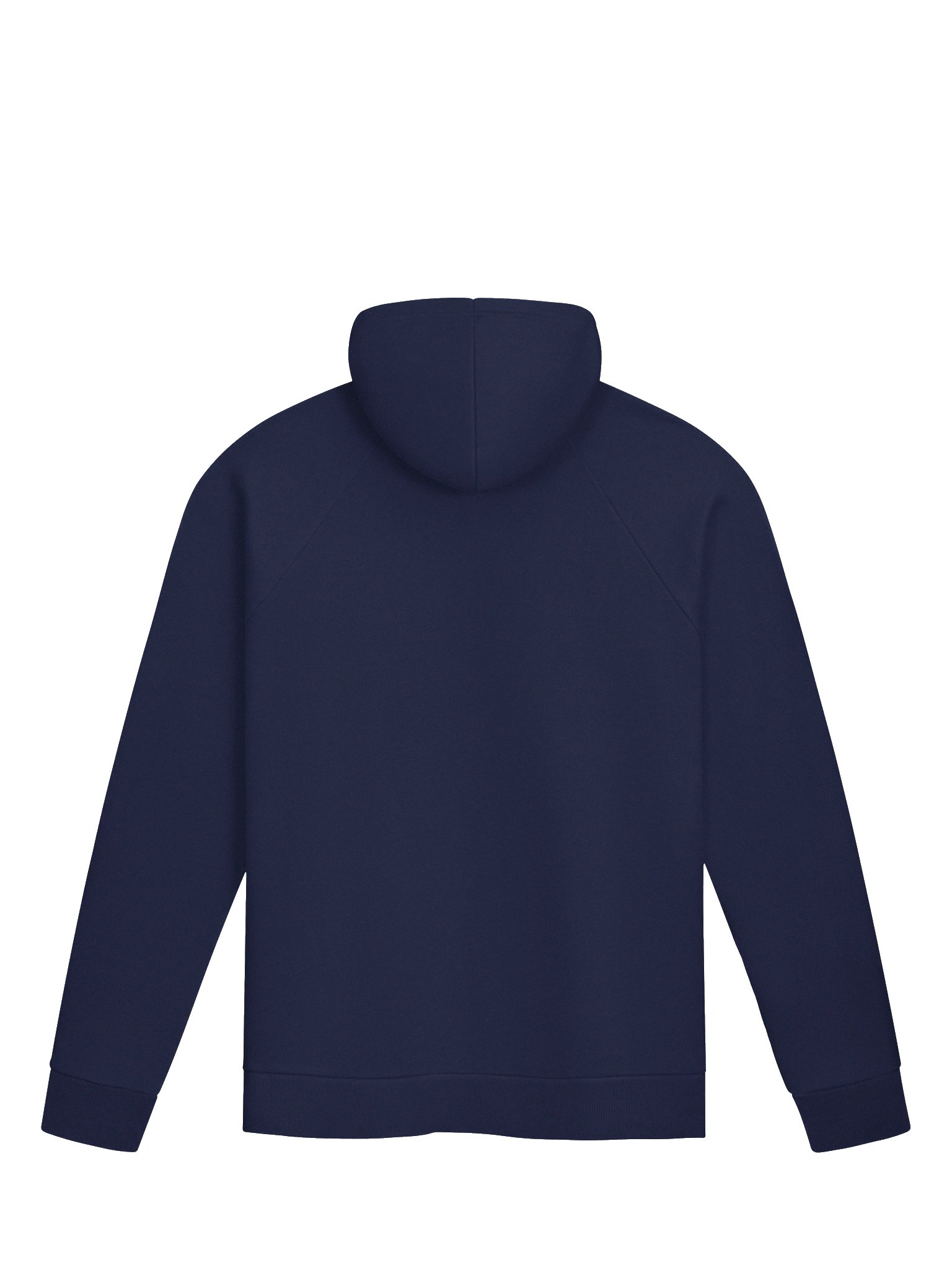 Stardog Yellow Star Unisex Hoodie product image (3)