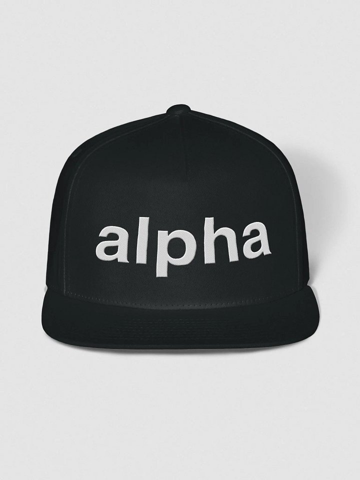 Alpha Cap (black) product image (1)