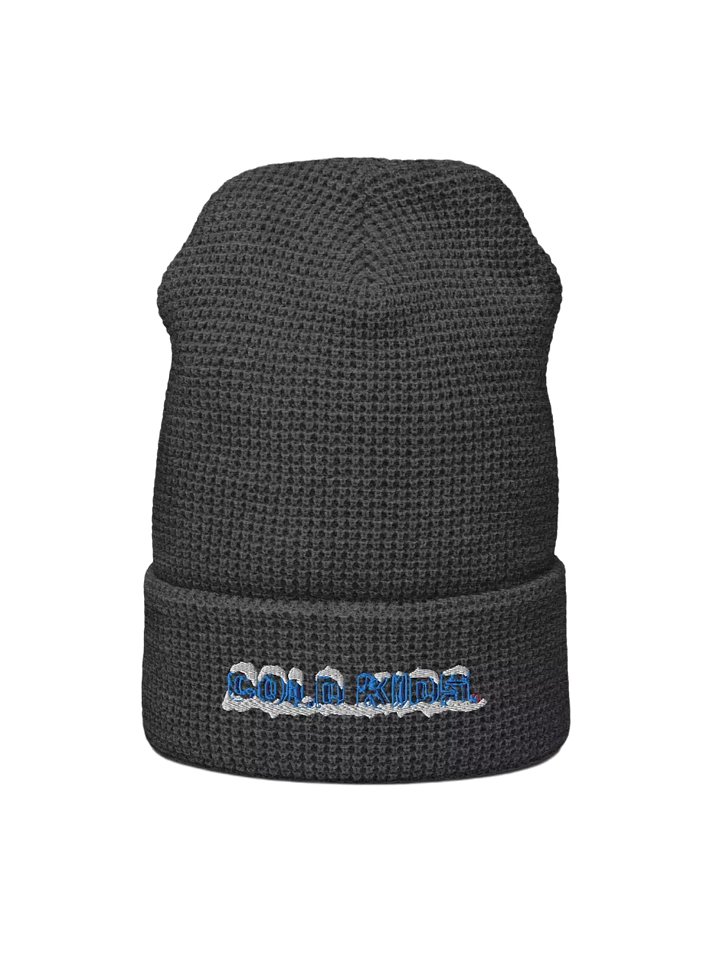 OG Cold Kids Waffle Beanie product image (1)