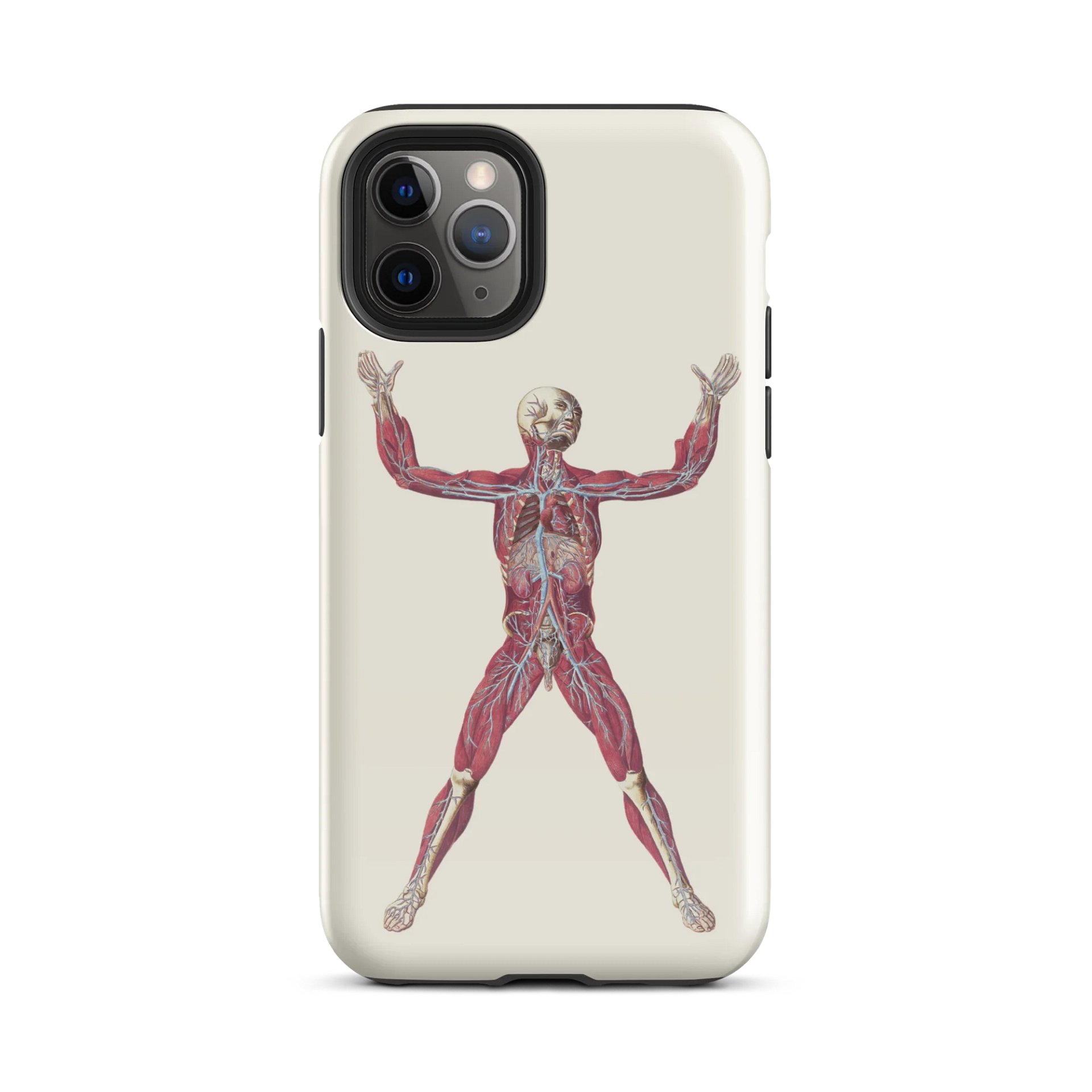 Anatomy Unveiled iPhone® Tough Case product image (57)
