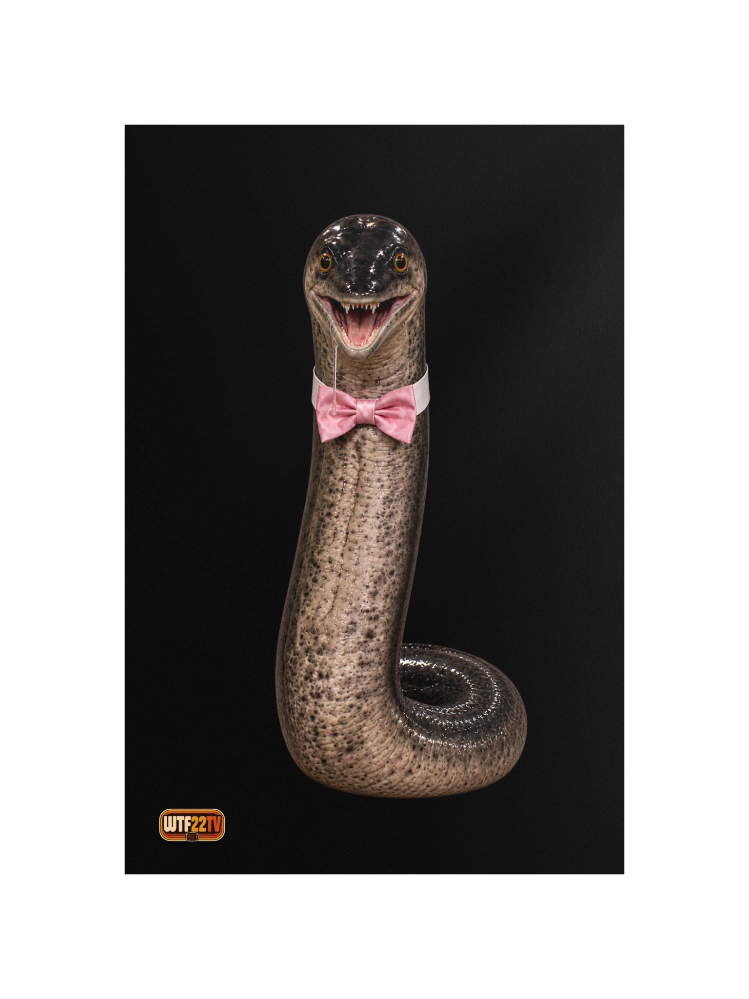 Official_The Eel_Poster ™ product image (4)