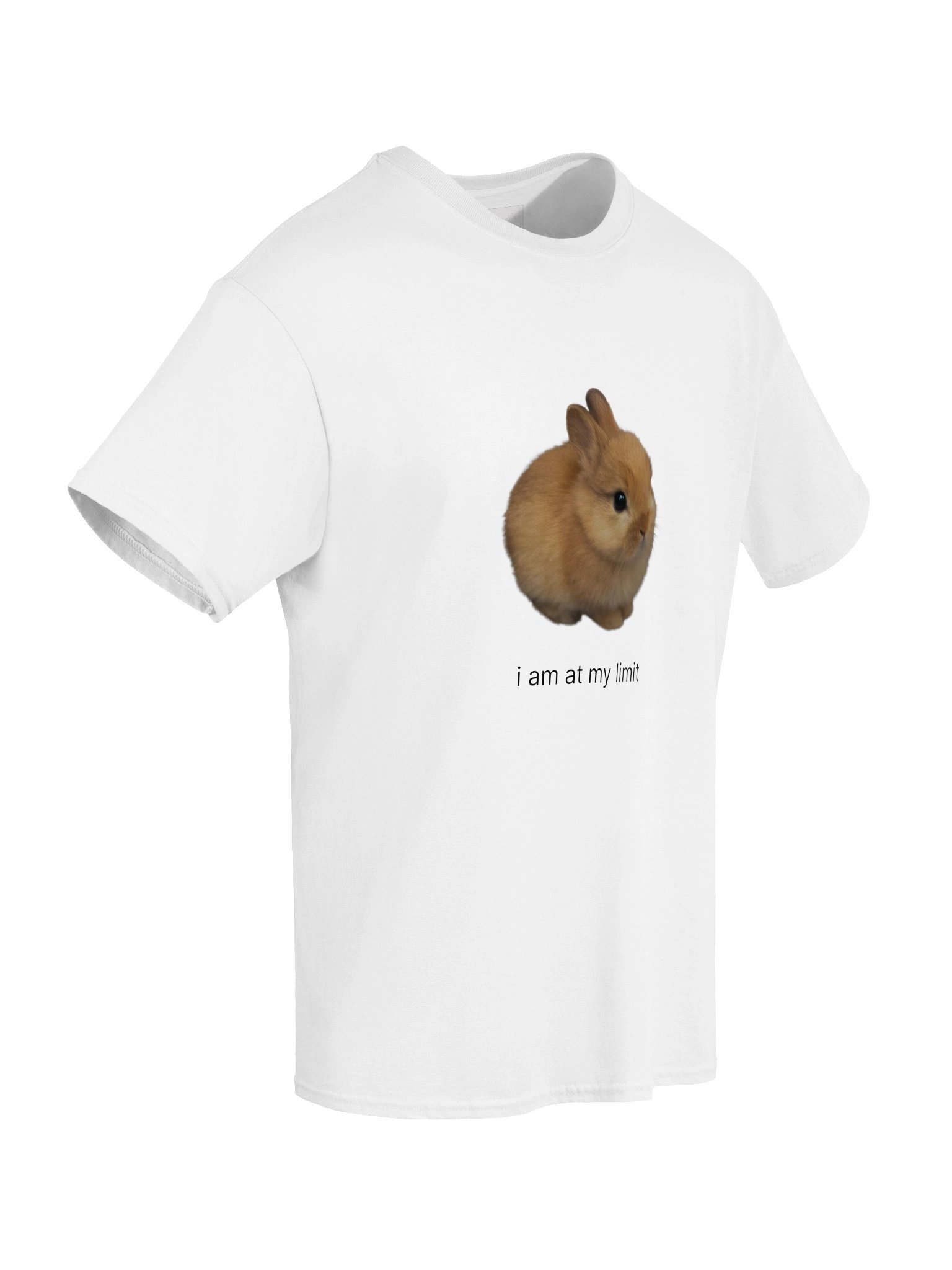 i am at my limit product image (6)