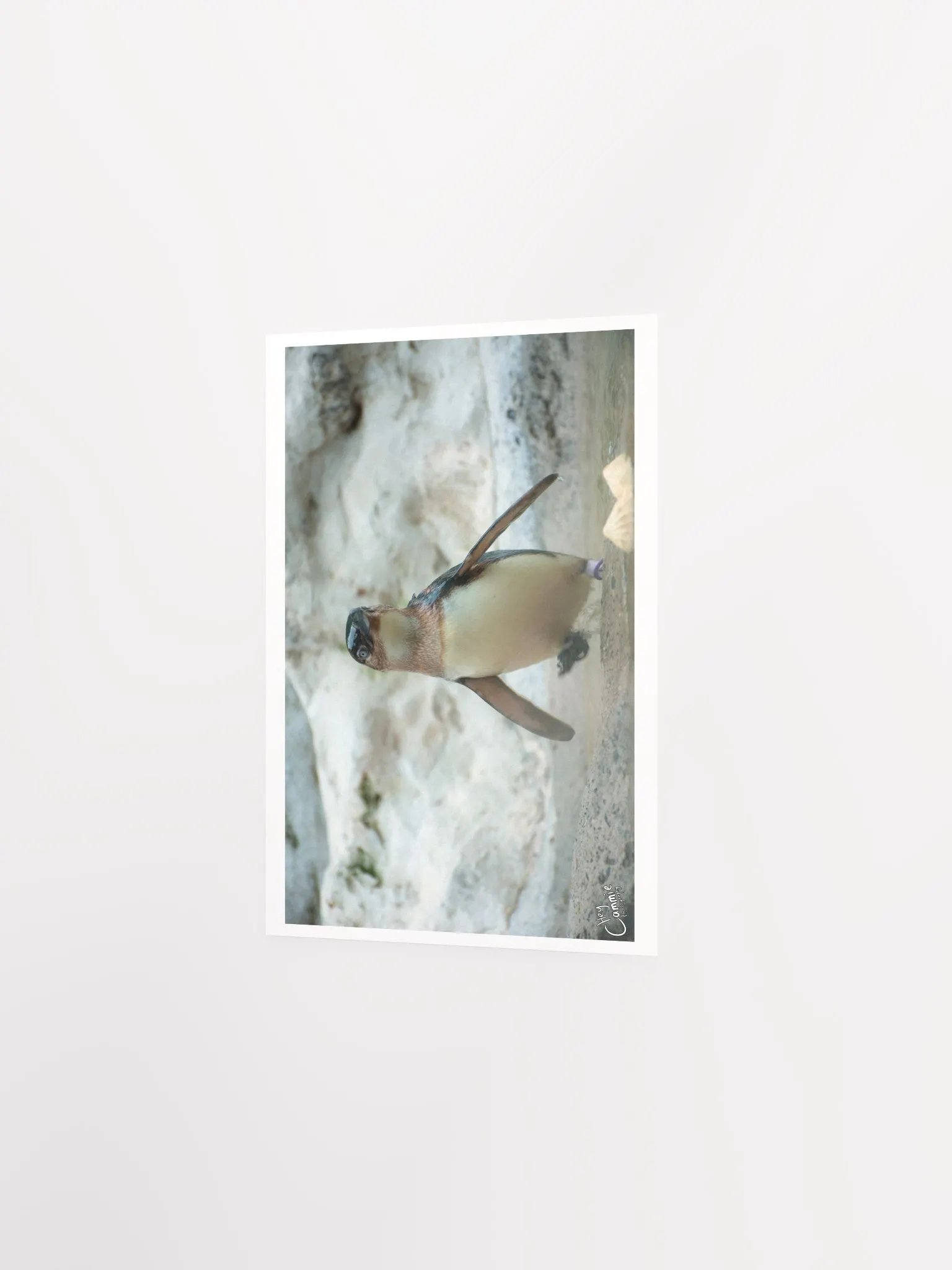 Penguins March - Print product image (2)